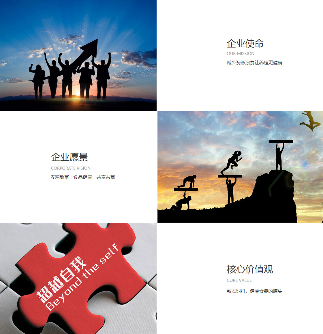 亚美体育官网入口网站(图1)